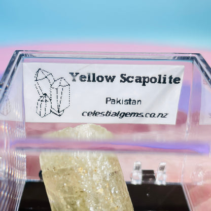 Yellow Scapolite Crystal Specimen in Box