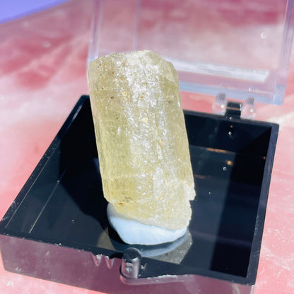 Yellow Scapolite Crystal Specimen in Box