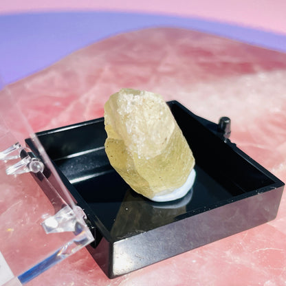 Yellow Scapolite Crystal Specimen in Box