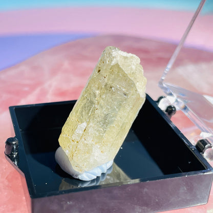 Yellow Scapolite Crystal Specimen in Box
