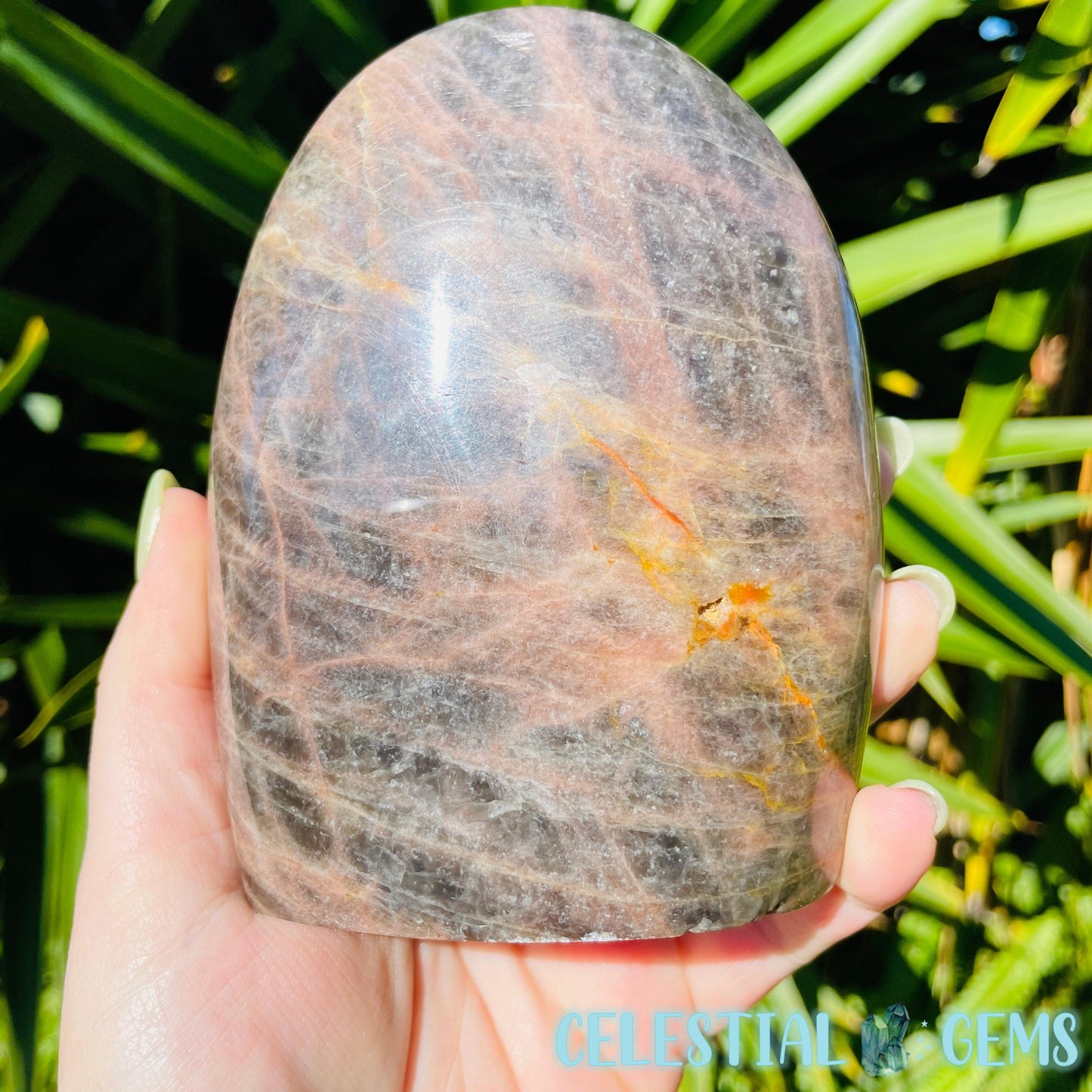 Black Moonstone Flashy Large Freeform (Video)