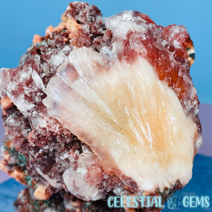 Red Apophyllite + Heulandite + Celadonite Medium Cluster