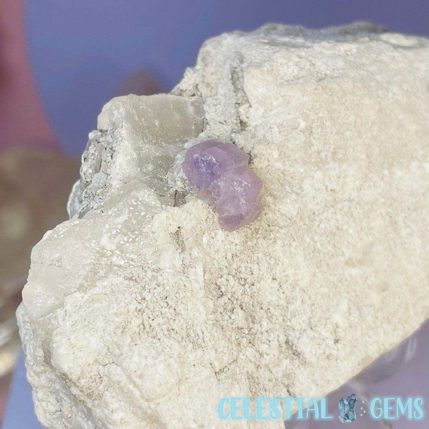 VERY RARE Purple Apatite on Albite Medium Specimen A