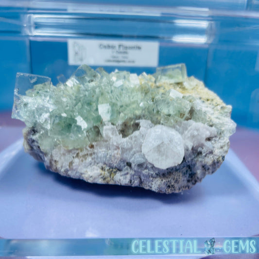 Green Cubic Fluorite + Calcite Medium Cluster Specimen in Box