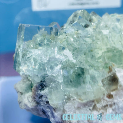 Green Cubic Fluorite + Calcite Medium Cluster Specimen in Box