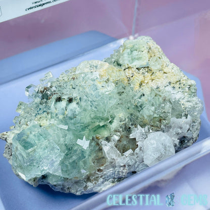 Green Cubic Fluorite + Calcite Medium Cluster Specimen in Box