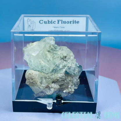 Green Cubic Fluorite Small Cluster Specimen in Box