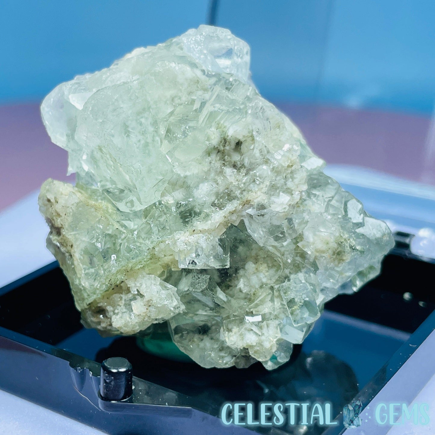 Green Cubic Fluorite Small Cluster Specimen in Box