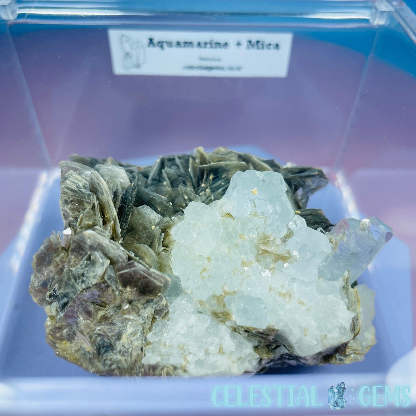 Aquamarine + Muscovite Mica Medium Cluster Specimen in Box