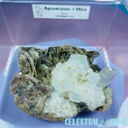 Aquamarine + Muscovite Mica Medium Cluster Specimen in Box