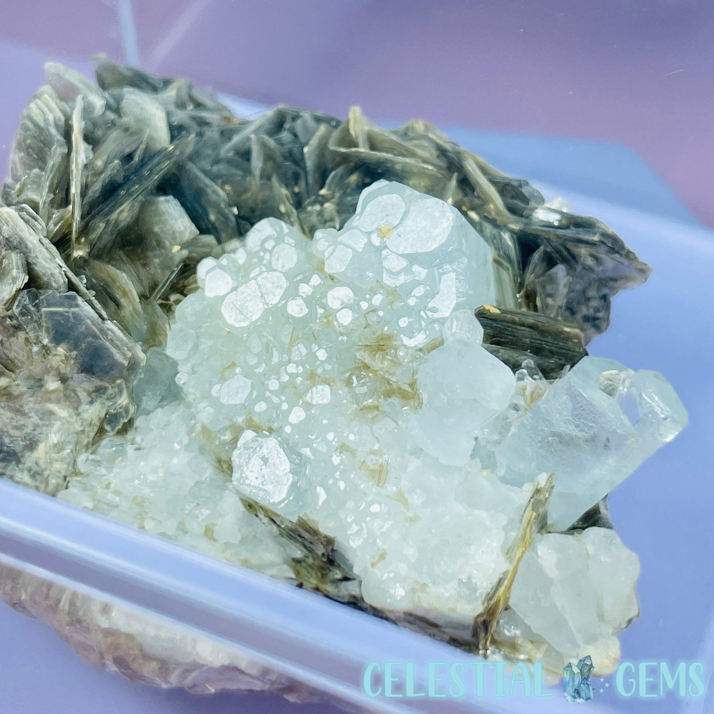 Aquamarine + Muscovite Mica Medium Cluster Specimen in Box