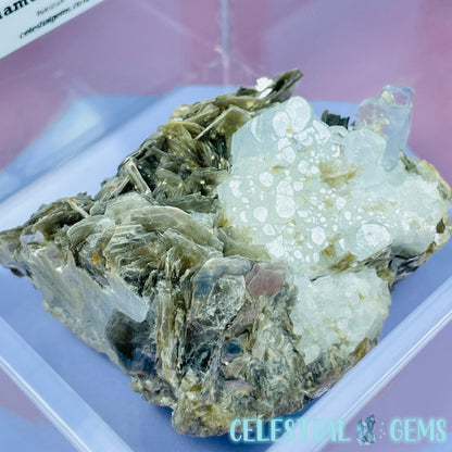 Aquamarine + Muscovite Mica Medium Cluster Specimen in Box