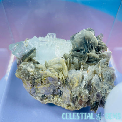 Aquamarine + Muscovite Mica Medium Cluster Specimen in Box