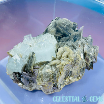 Aquamarine + Muscovite Mica Medium Cluster Specimen in Box