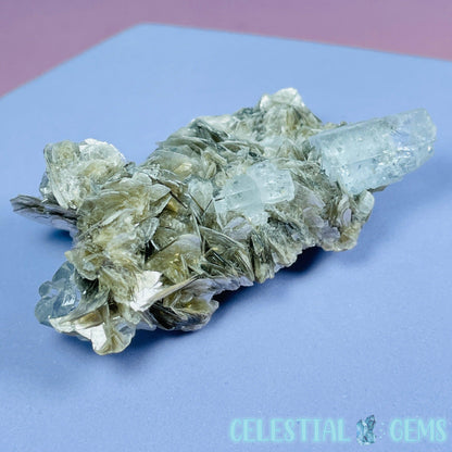 Aquamarine + Muscovite Mica Small Cluster Specimen