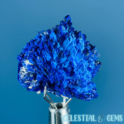 Grade A Gem Azurite Crystalline Cluster Mini Specimen (Video)