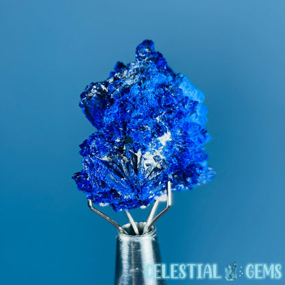 Grade A Gem Azurite Crystalline Cluster Mini Specimen (Video)