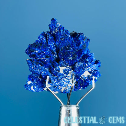 Grade A Gem Azurite Crystalline Cluster Mini Specimen (Video)