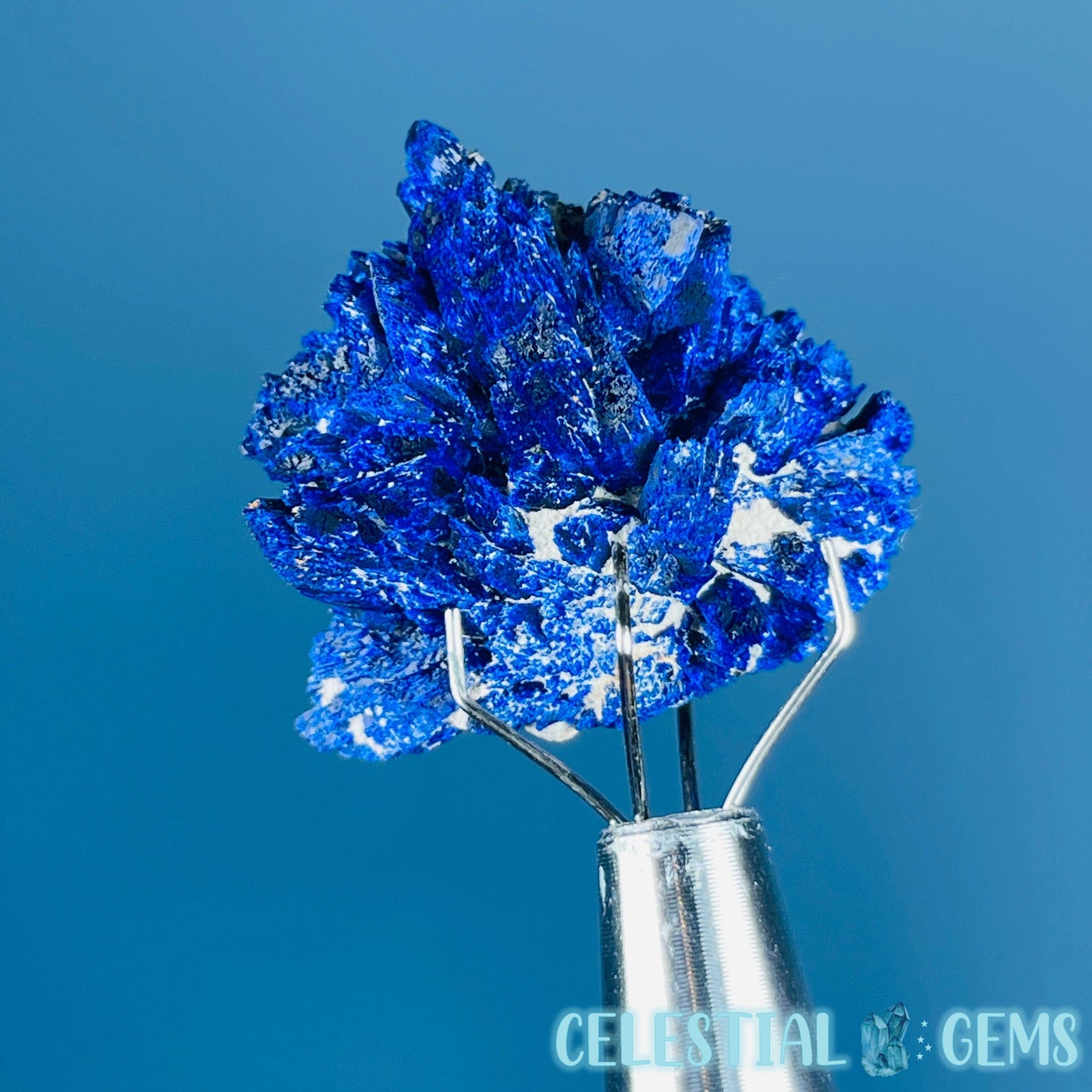 Grade A Gem Azurite Crystalline Cluster Mini Specimen (Video)