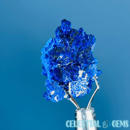 Grade A Gem Azurite Crystalline Cluster Mini Specimen (Video)