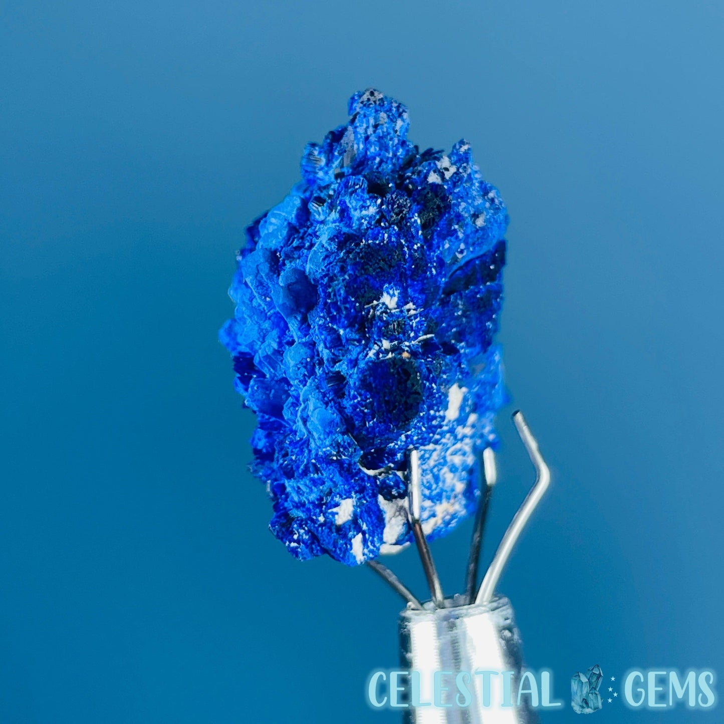 Grade A Gem Azurite Crystalline Cluster Mini Specimen (Video)