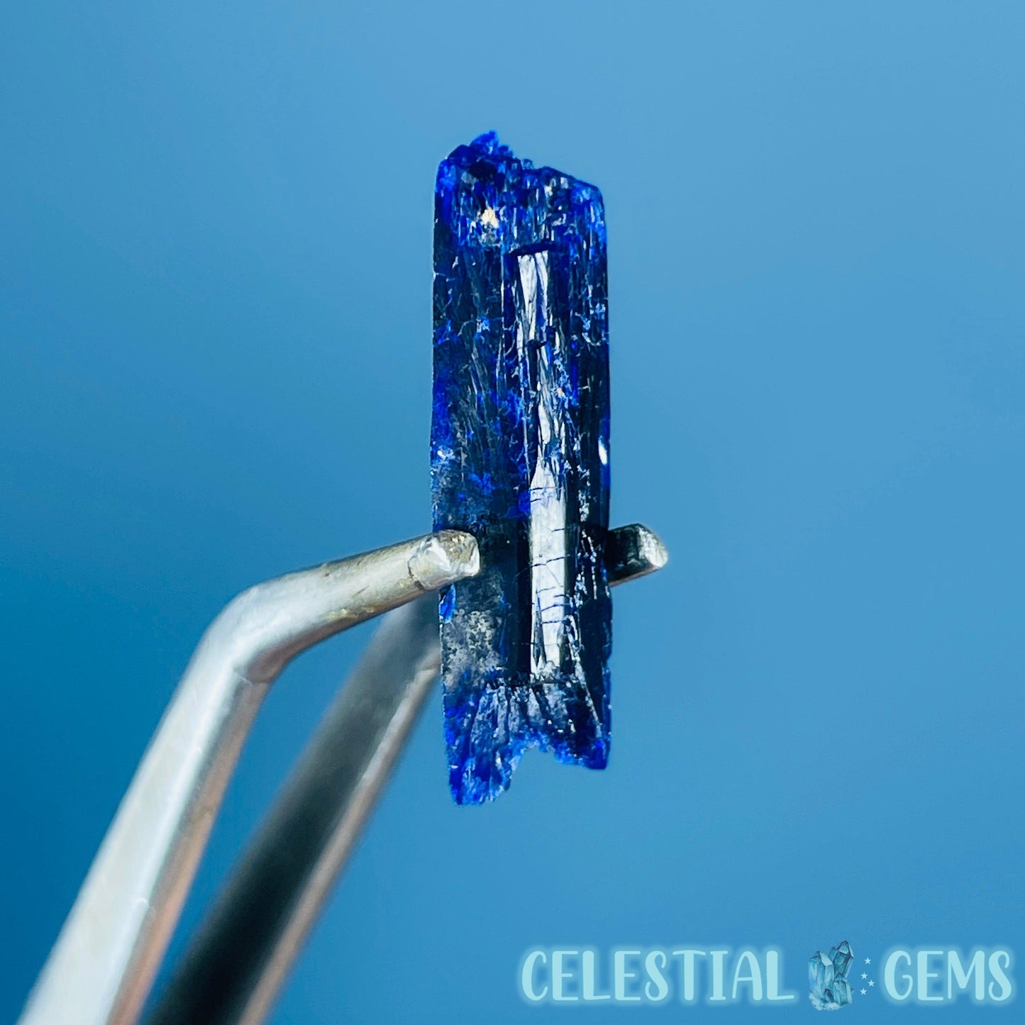 Grade A Gem Azurite Crystalline Mini Specimen (Video)