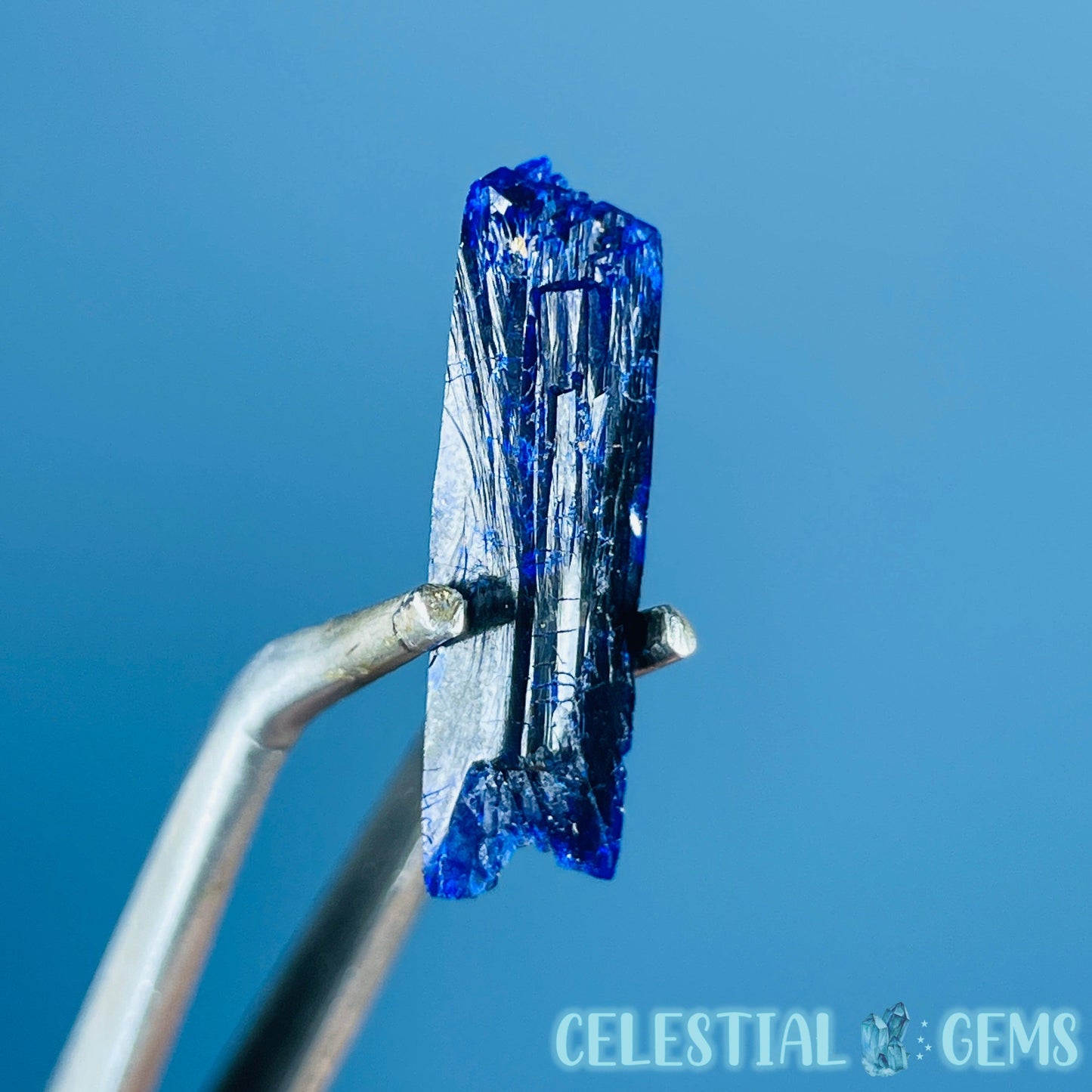 Grade A Gem Azurite Crystalline Mini Specimen (Video)