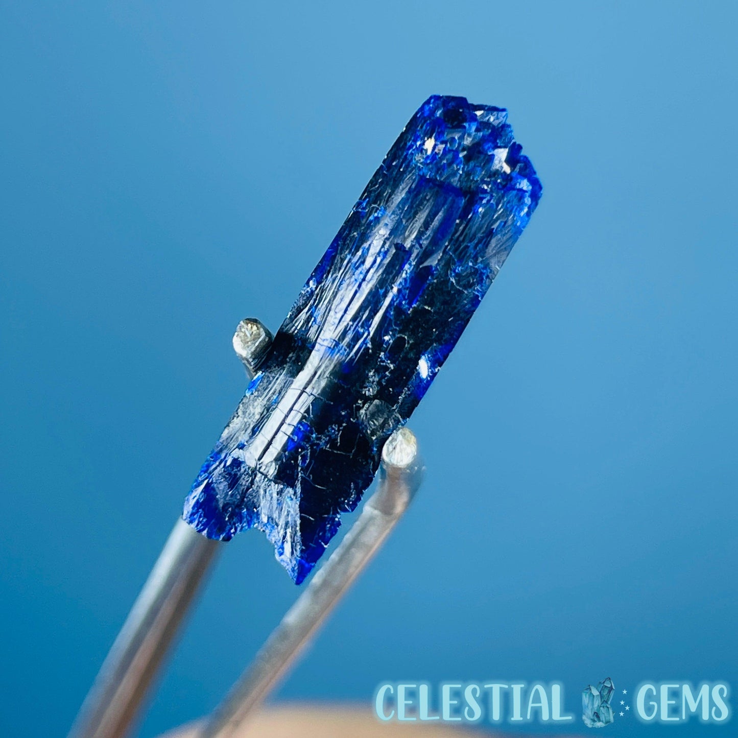 Grade A Gem Azurite Crystalline Mini Specimen (Video)