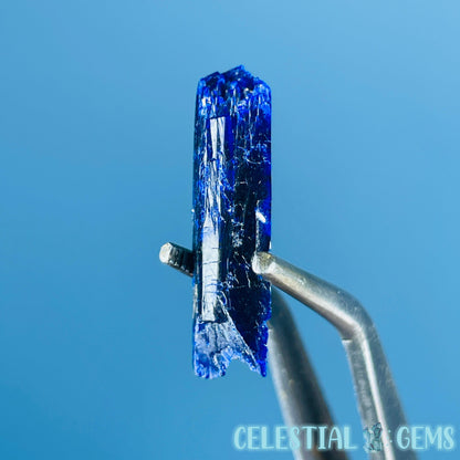 Grade A Gem Azurite Crystalline Mini Specimen (Video)