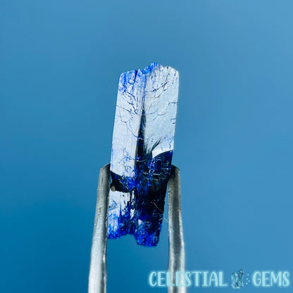 Grade A Gem Azurite Crystalline Mini Specimen (Video)