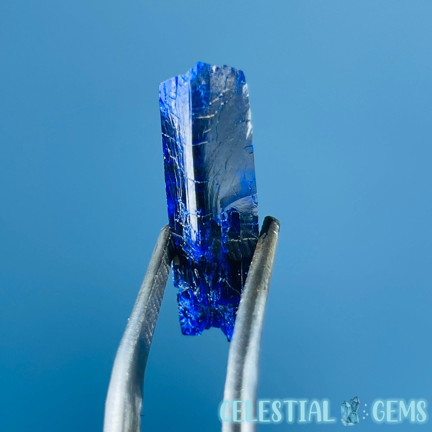 Grade A Gem Azurite Crystalline Mini Specimen (Video)