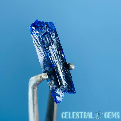 Grade A Gem Azurite Crystalline Mini Specimen (Video)