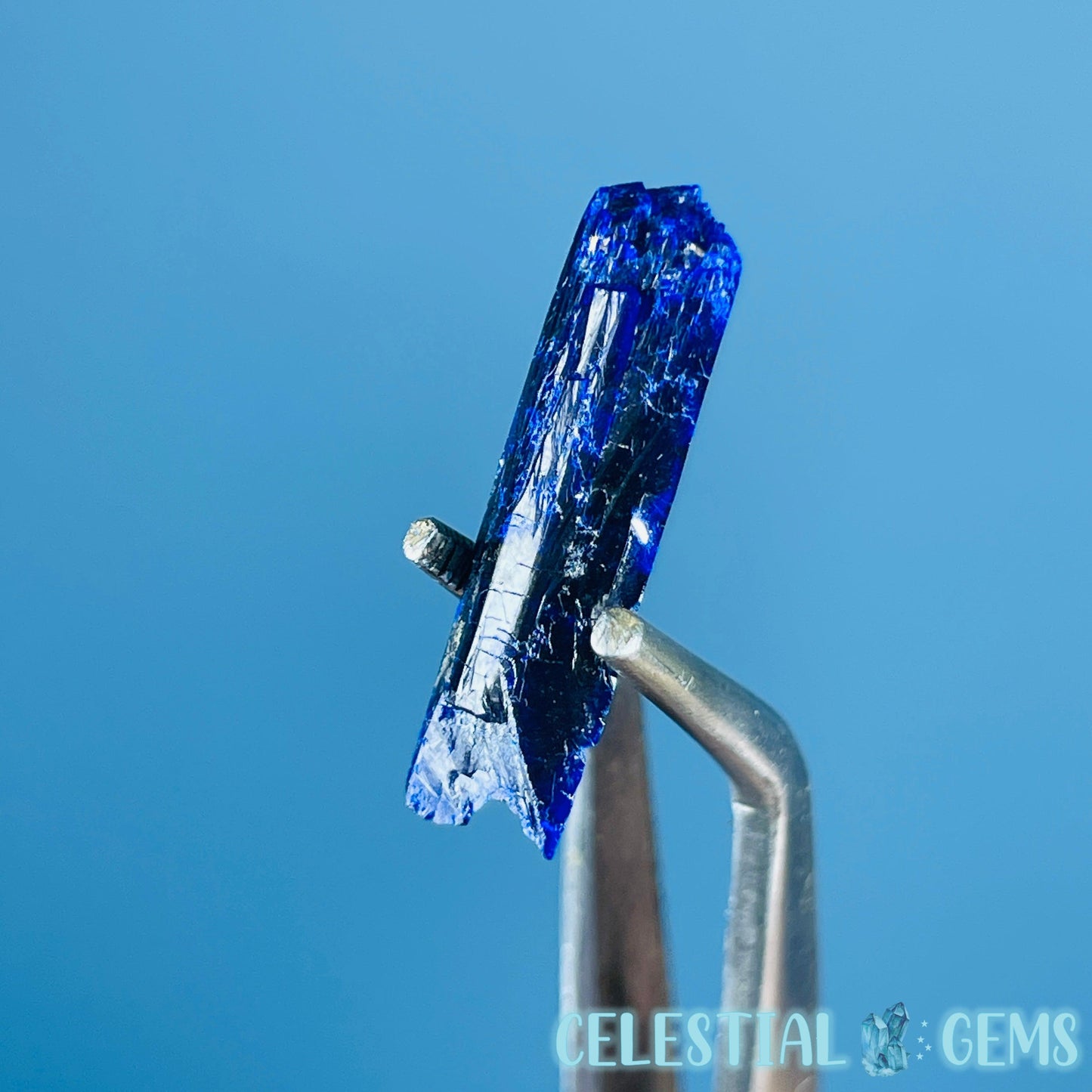 Grade A Gem Azurite Crystalline Mini Specimen (Video)