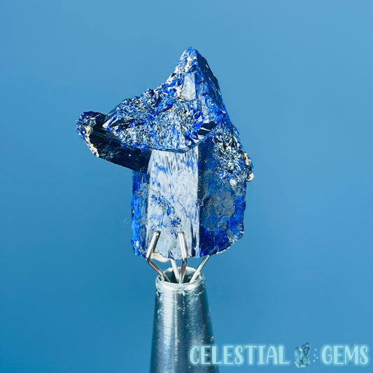 Grade A Gem Azurite Twinned Crystalline Mini Specimen (Video)