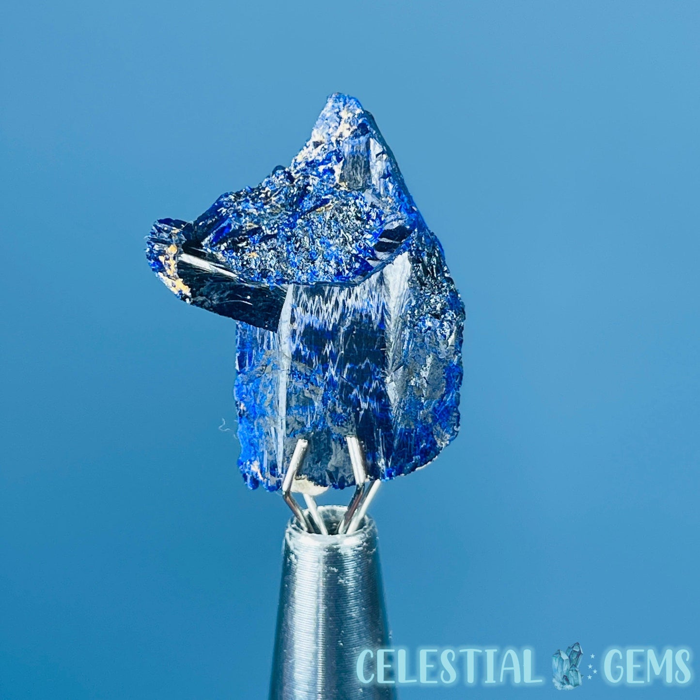 Grade A Gem Azurite Twinned Crystalline Mini Specimen (Video)