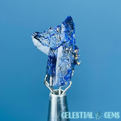 Grade A Gem Azurite Twinned Crystalline Mini Specimen (Video)