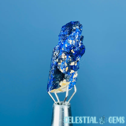 Grade A Gem Azurite Twinned Crystalline Mini Specimen (Video)