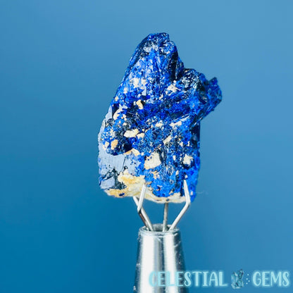 Grade A Gem Azurite Twinned Crystalline Mini Specimen (Video)