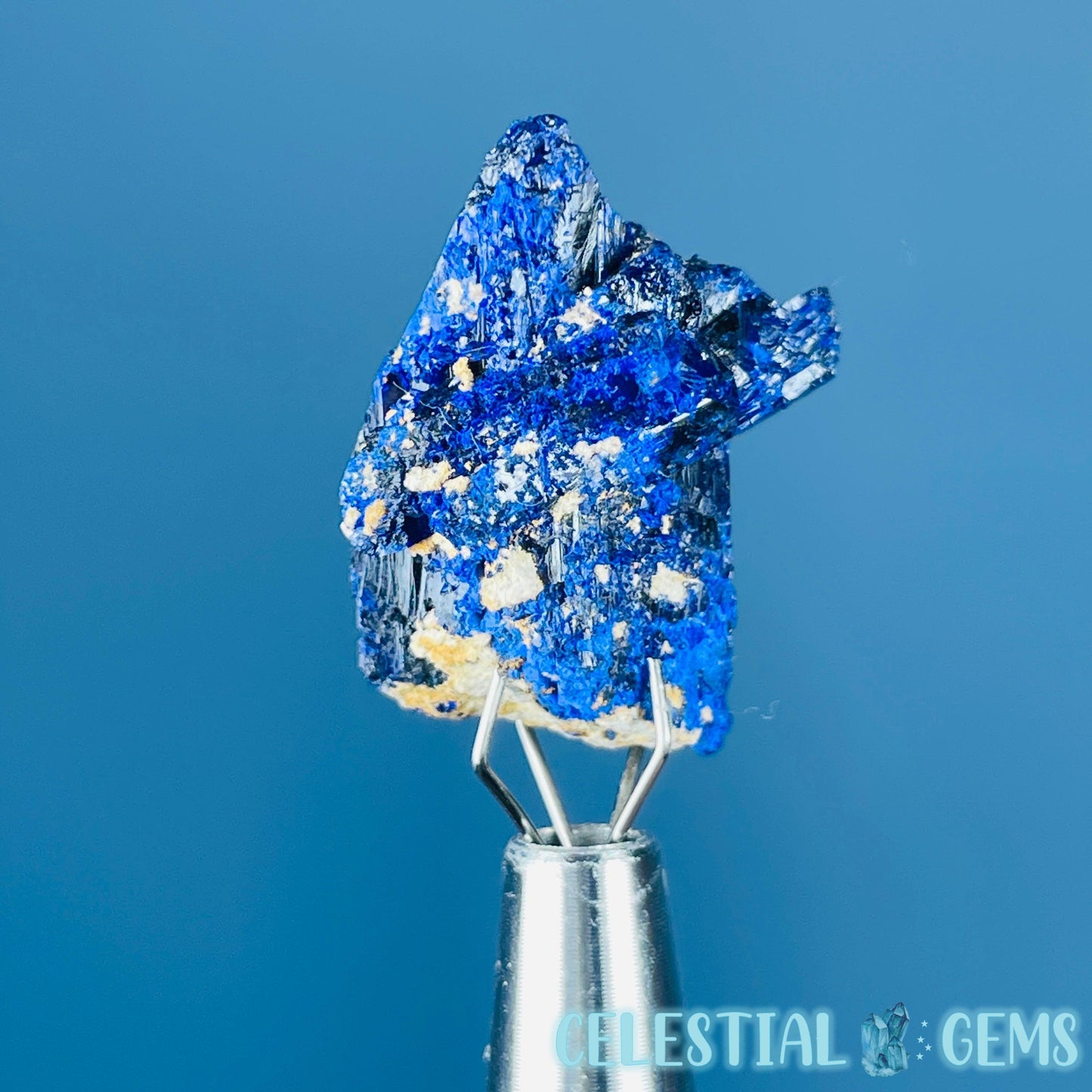 Grade A Gem Azurite Twinned Crystalline Mini Specimen (Video)