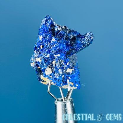 Grade A Gem Azurite Twinned Crystalline Mini Specimen (Video)