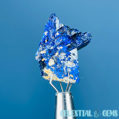 Grade A Gem Azurite Twinned Crystalline Mini Specimen (Video)