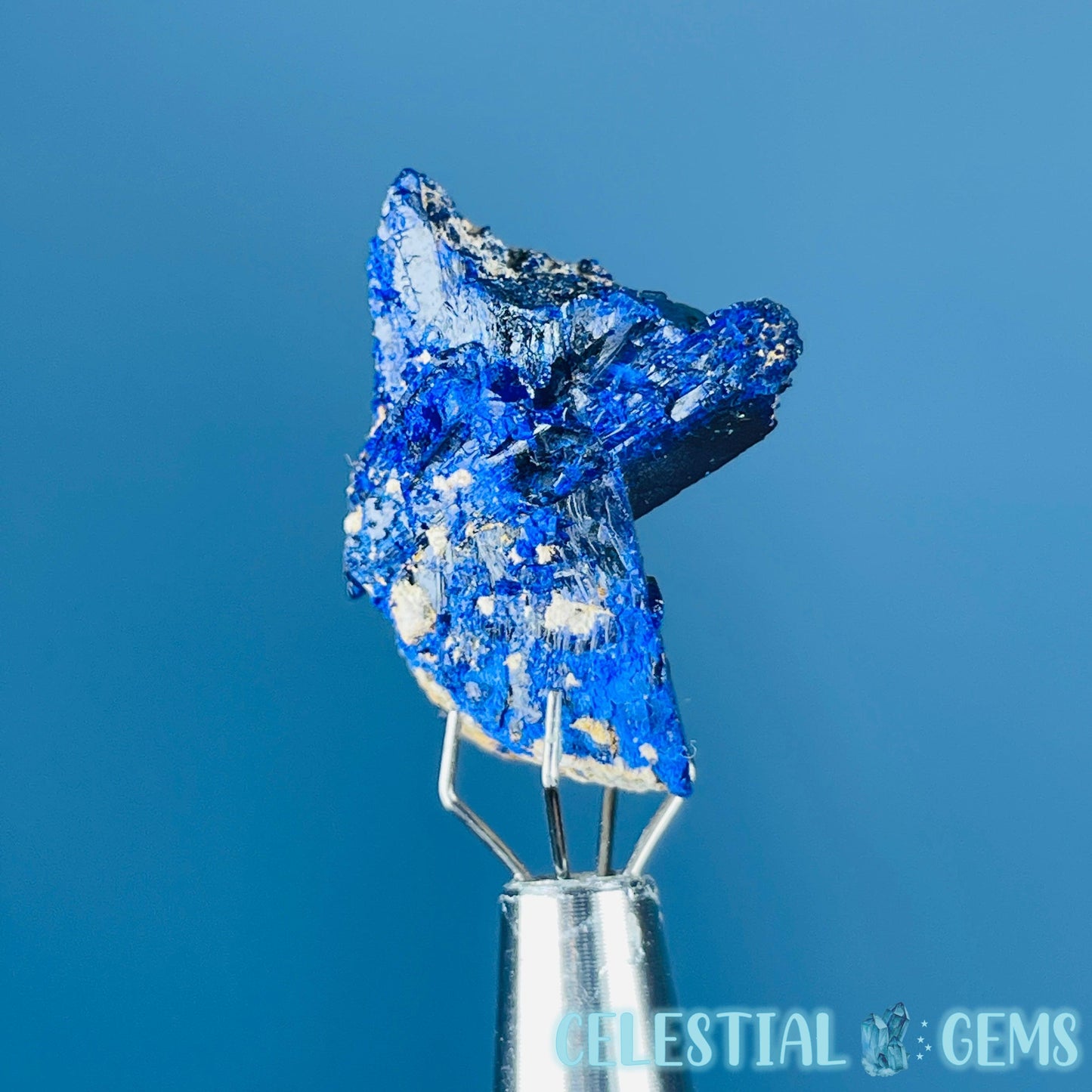 Grade A Gem Azurite Twinned Crystalline Mini Specimen (Video)