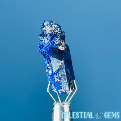 Grade A Gem Azurite Twinned Crystalline Mini Specimen (Video)