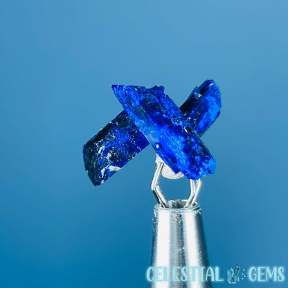 Grade A Gem Azurite Crystalline Cluster Mini Specimen (Video)