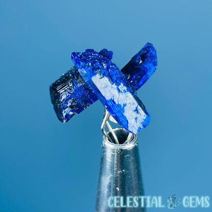 Grade A Gem Azurite Crystalline Cluster Mini Specimen (Video)