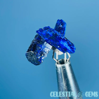 Grade A Gem Azurite Crystalline Cluster Mini Specimen (Video)