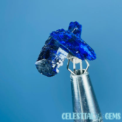 Grade A Gem Azurite Crystalline Cluster Mini Specimen (Video)