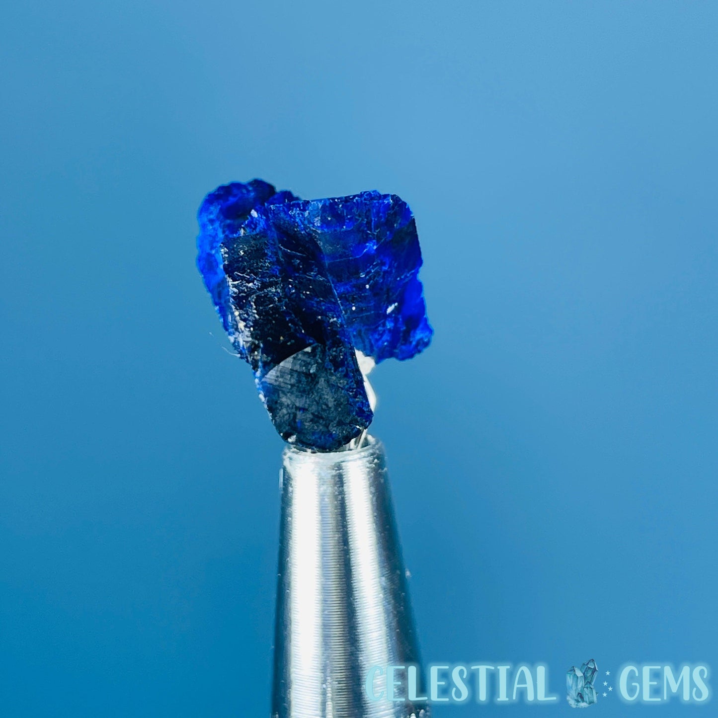 Grade A Gem Azurite Crystalline Cluster Mini Specimen (Video)