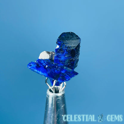 Grade A Gem Azurite Crystalline Cluster Mini Specimen (Video)