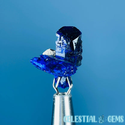 Grade A Gem Azurite Crystalline Cluster Mini Specimen (Video)